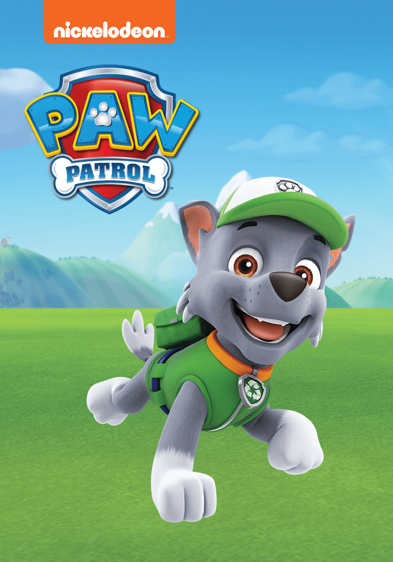 PAW Patrol: Rocky Tonie image 4