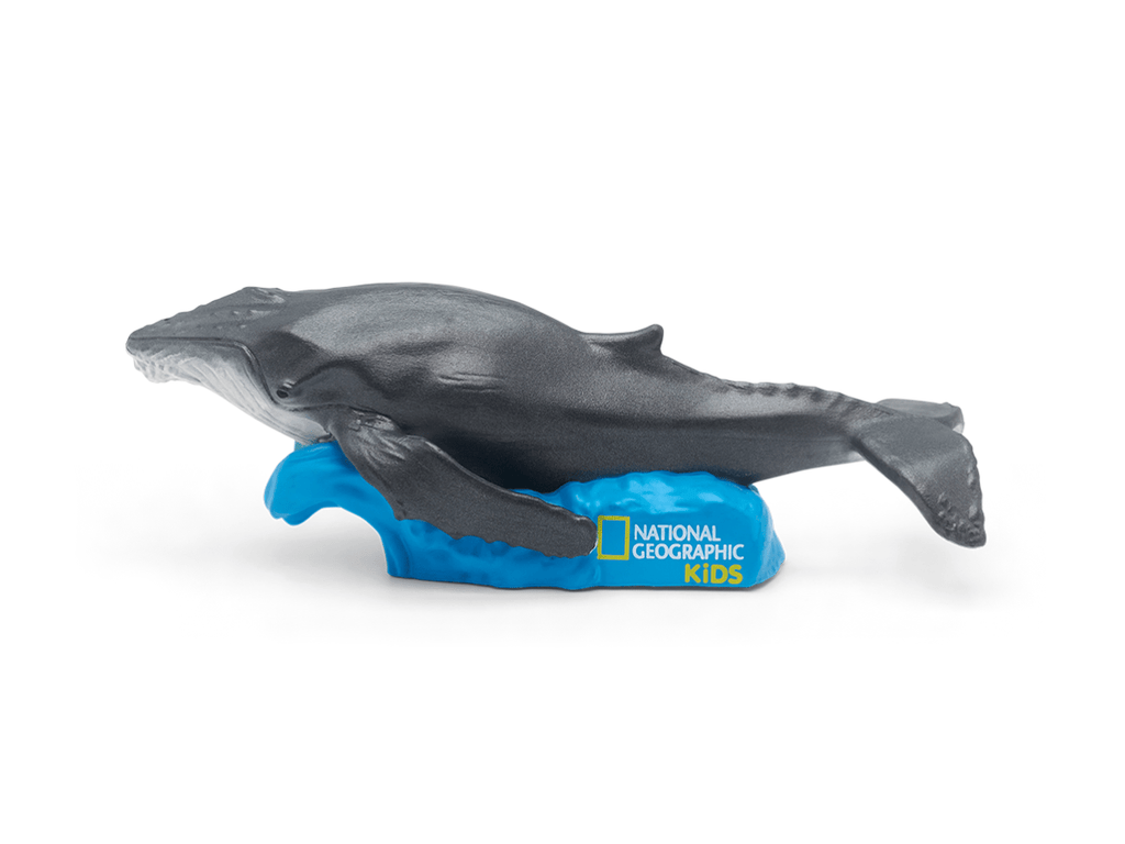 National Geographic Kids: Whale Tonie image 1