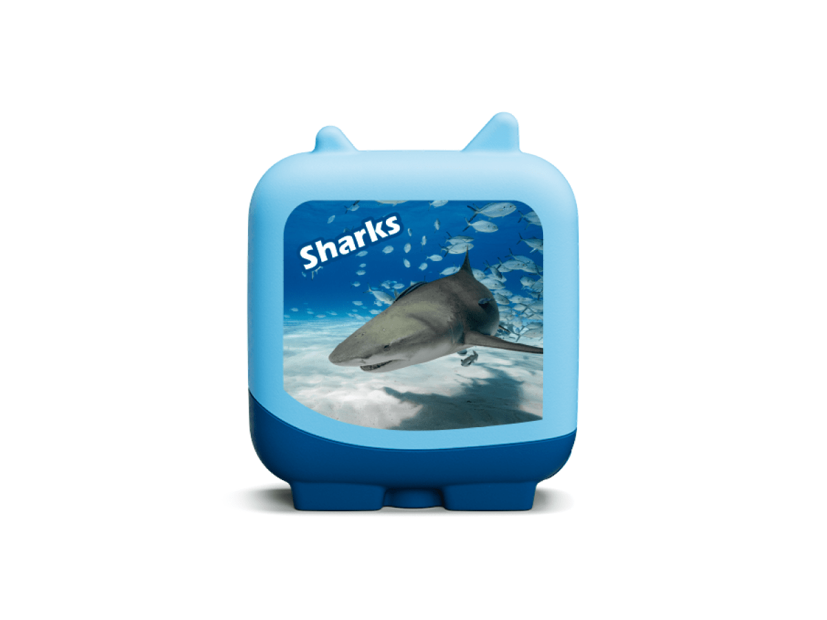 Marine Life Clever Tonies - 4 Pack image 7
