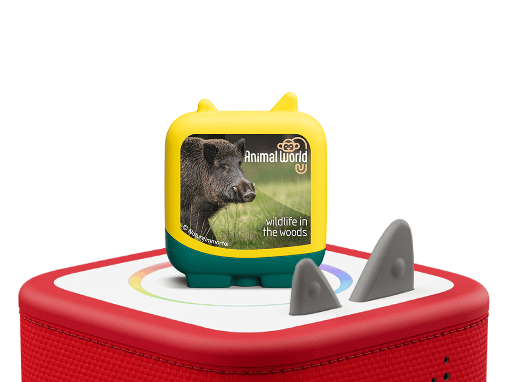 Animal World Wildlife in the Woods Clever Tonies - 4 Pack image 4