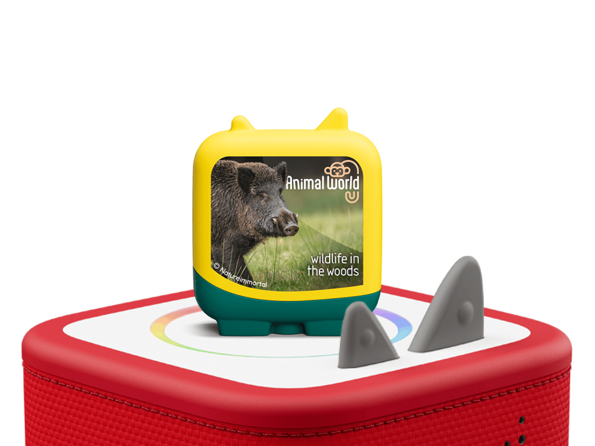 Animal World Wildlife in the Woods Clever Tonies - 4 Pack image 4