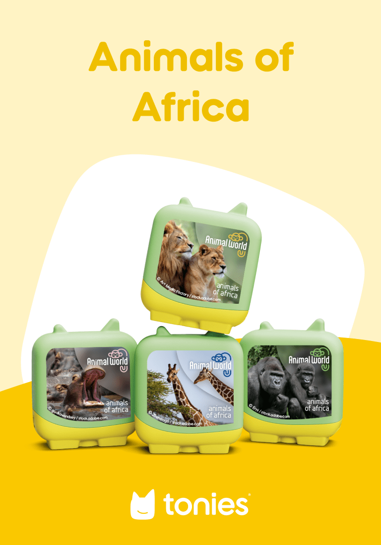 Animal World Animals of Africa Clever Tonies - 4 Pack image 1