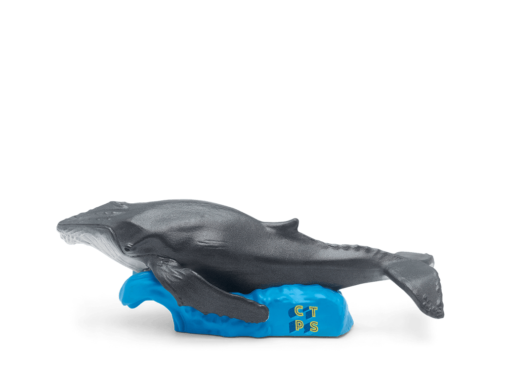 National Geographic Kids: Whale Tonie image 5
