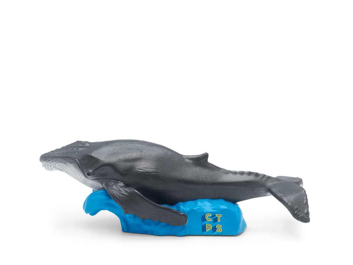 National Geographic Kids: Whale Tonie image 5
