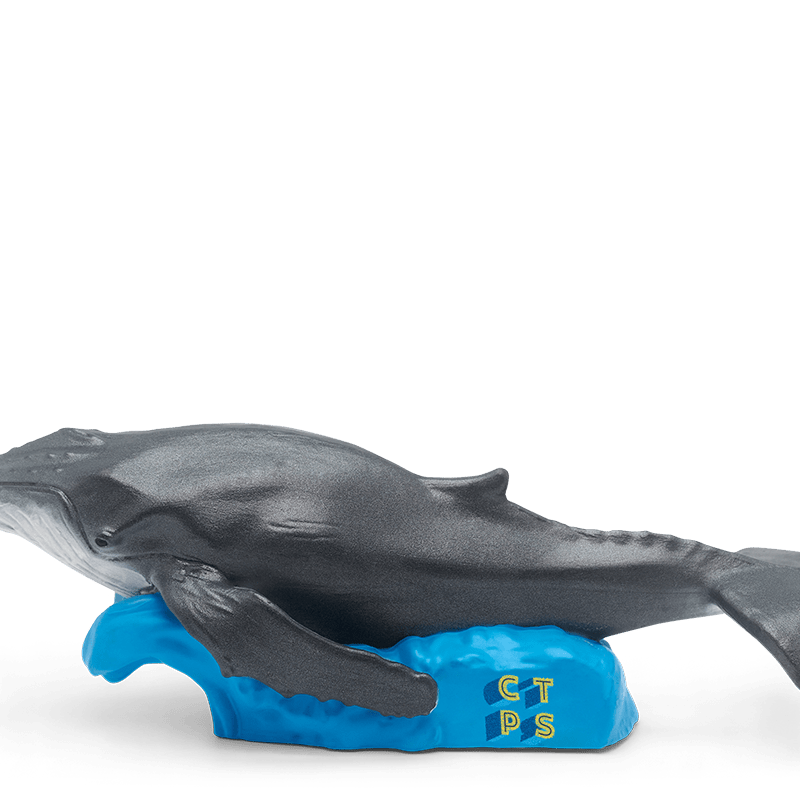 National Geographic Kids: Whale Tonie image 8