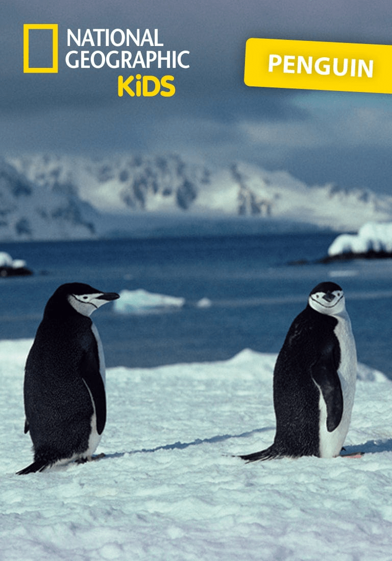 National Geographic Kids: Penguin Tonie image 4
