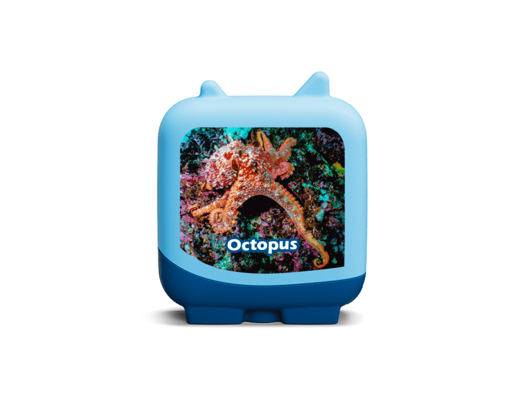 Marine Life Clever Tonies - 4 Pack image 5