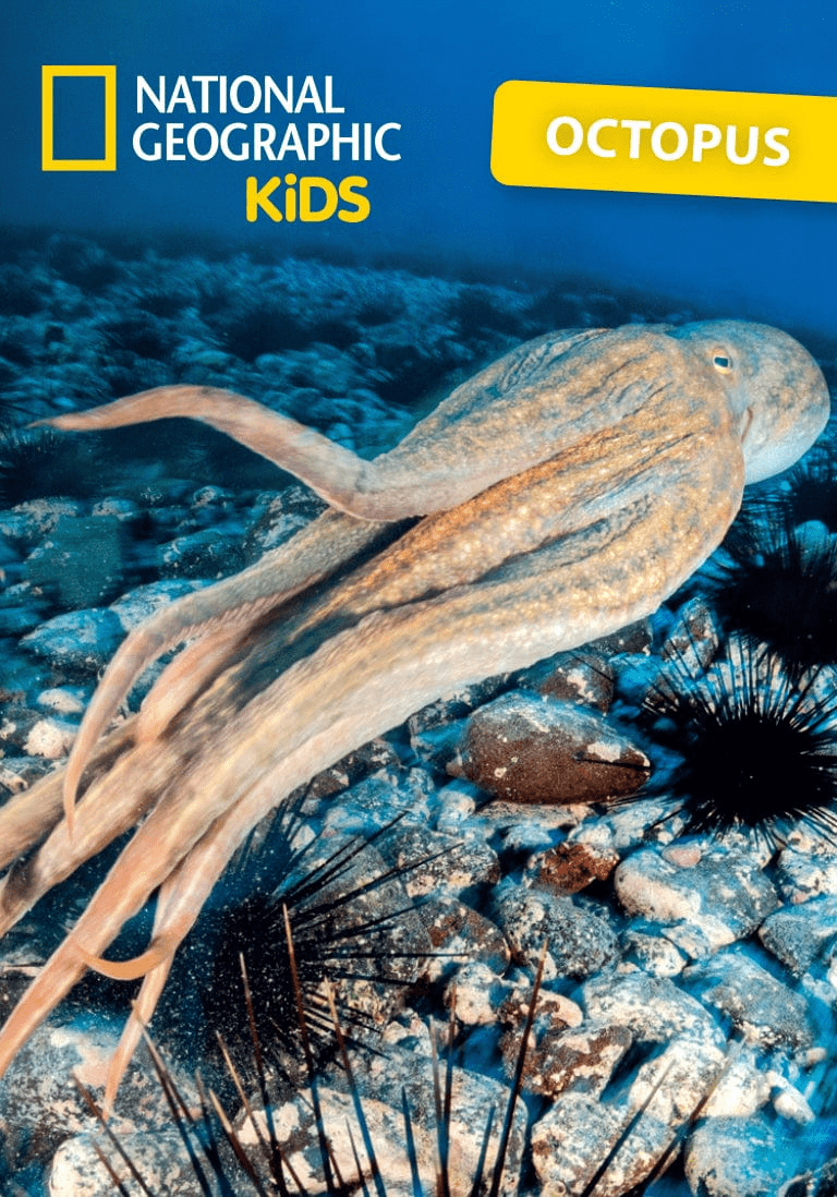 National Geographic Kids: Octopus Tonie image 2