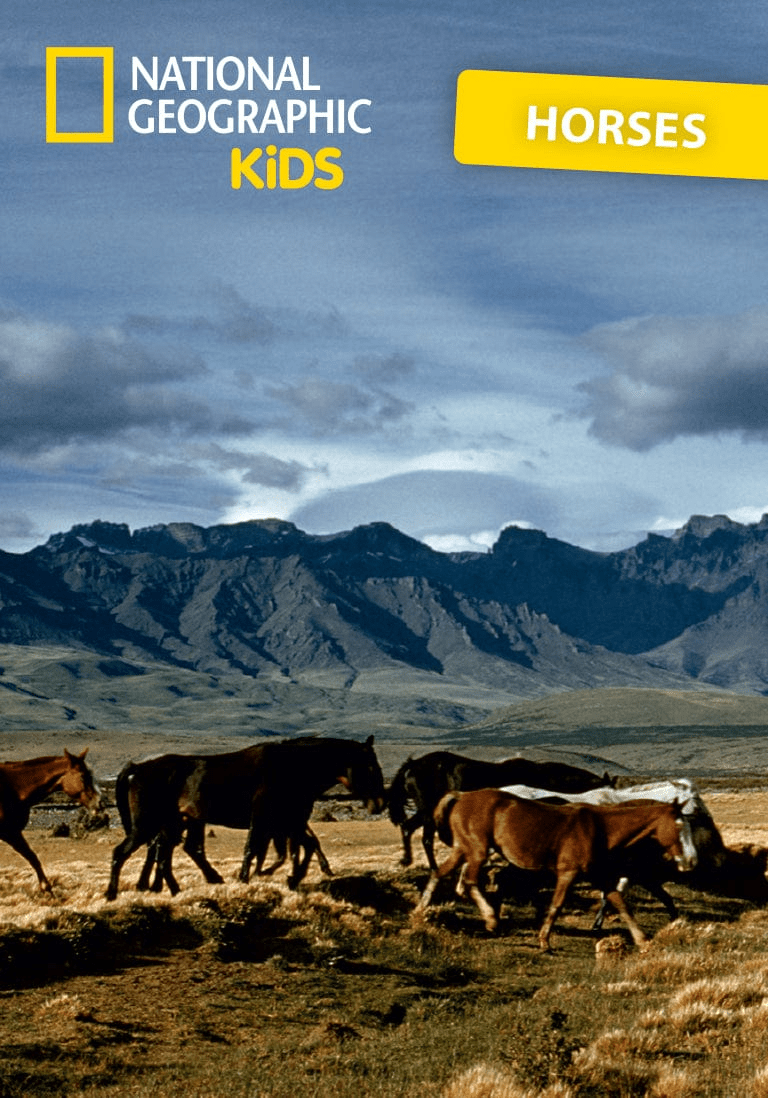 National Geographic Kids: Horse Tonie image 8